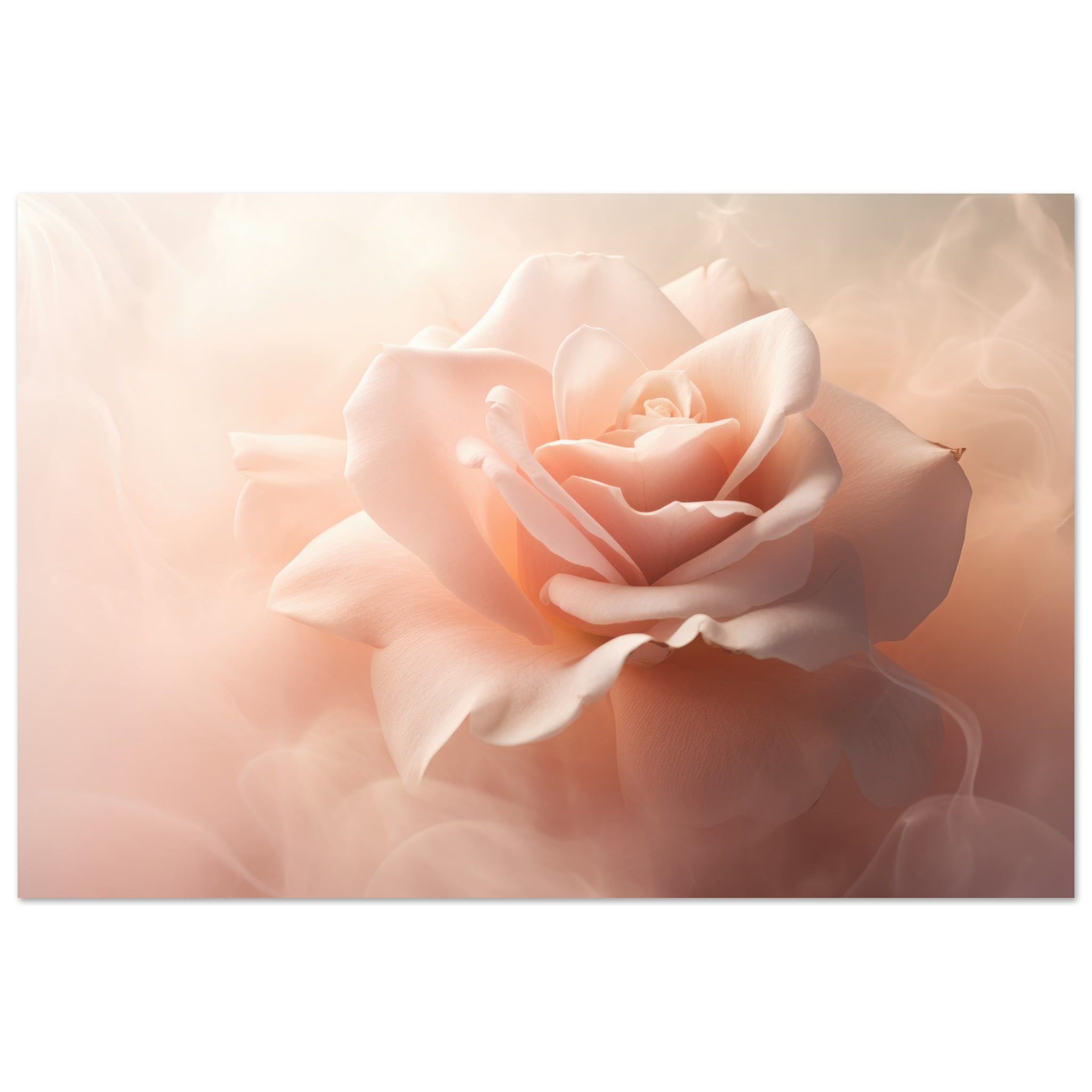 White Pink Rose Art Poster Print – 30×45 cm / 12×18″