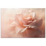 White Pink Rose Canvas Print