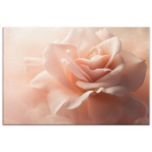 White Pink Rose Canvas Print
