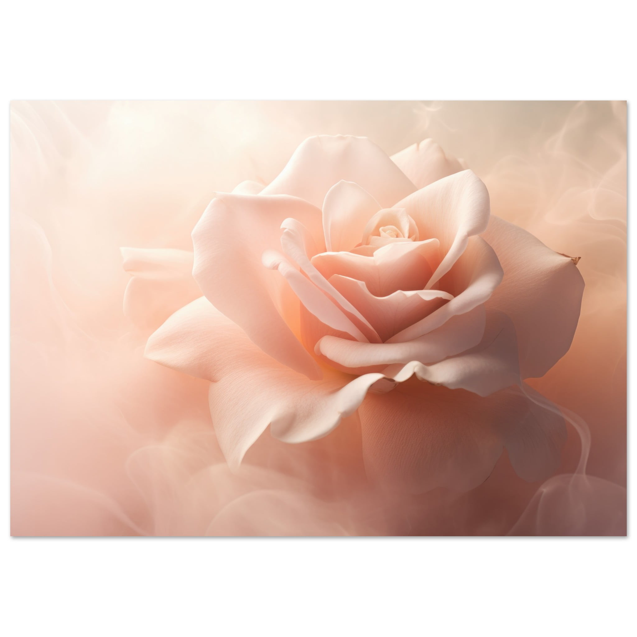 White Pink Rose Art Poster Print – A4 21×29.7 cm / 8×12″